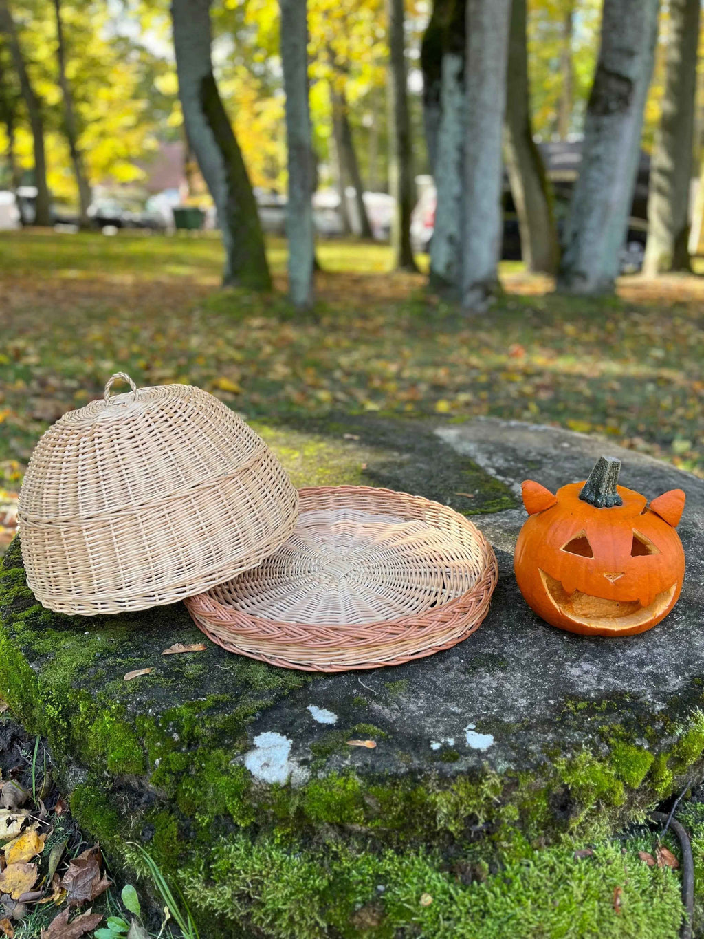 Wicker Food Cover Set — food cover, view 14