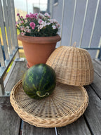 Wicker Food Cover Set — food cover, view 19