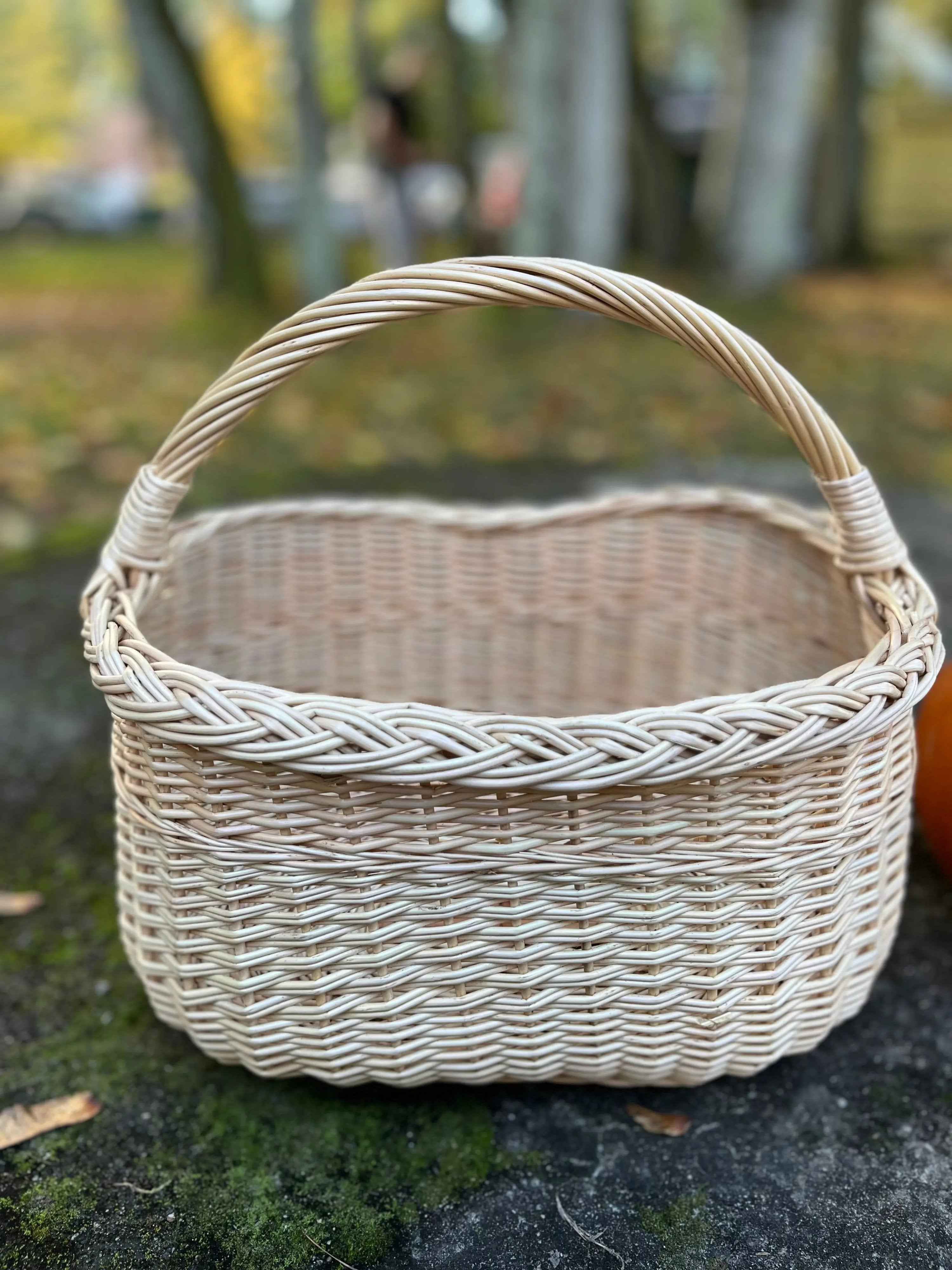 Wicker basket 041b - NaturelyWoven wicker - handmade