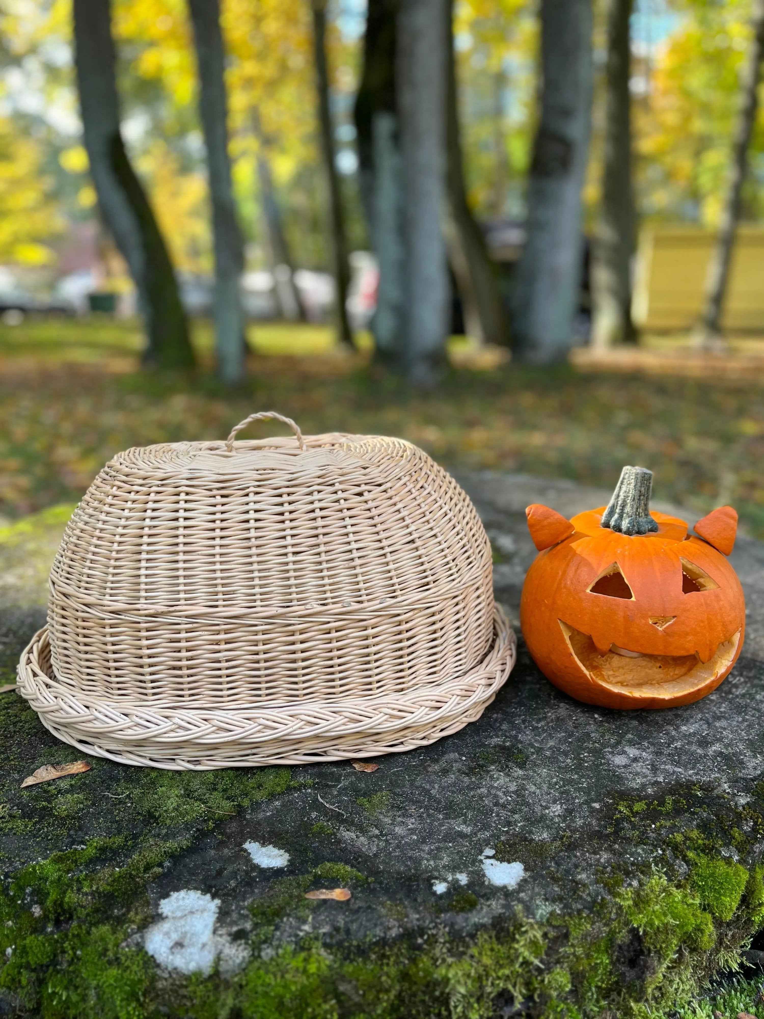 Wicker Bread Box — handmade wicker tray from Lithuanian willow